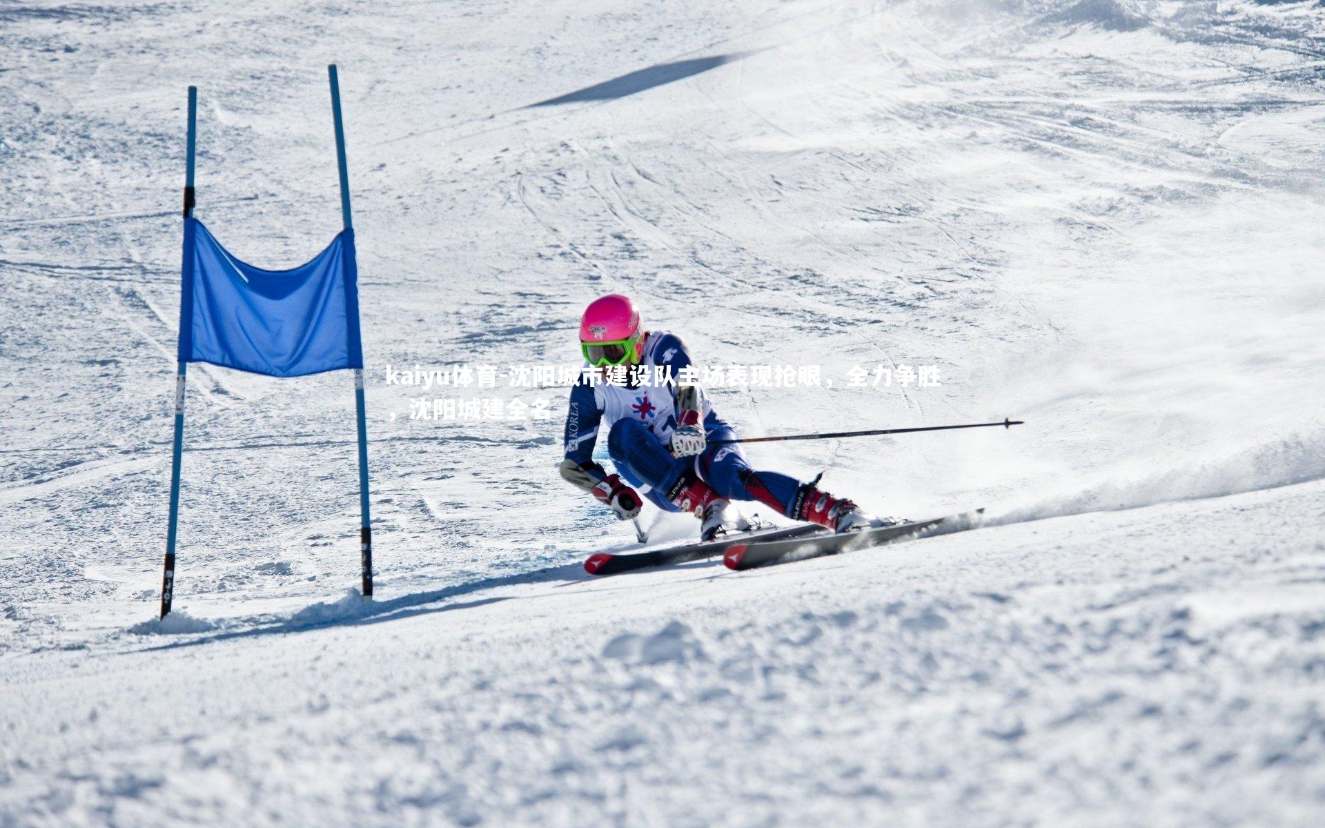 沈阳城市建设队主场表现抢眼，全力争胜，沈阳城建全名
