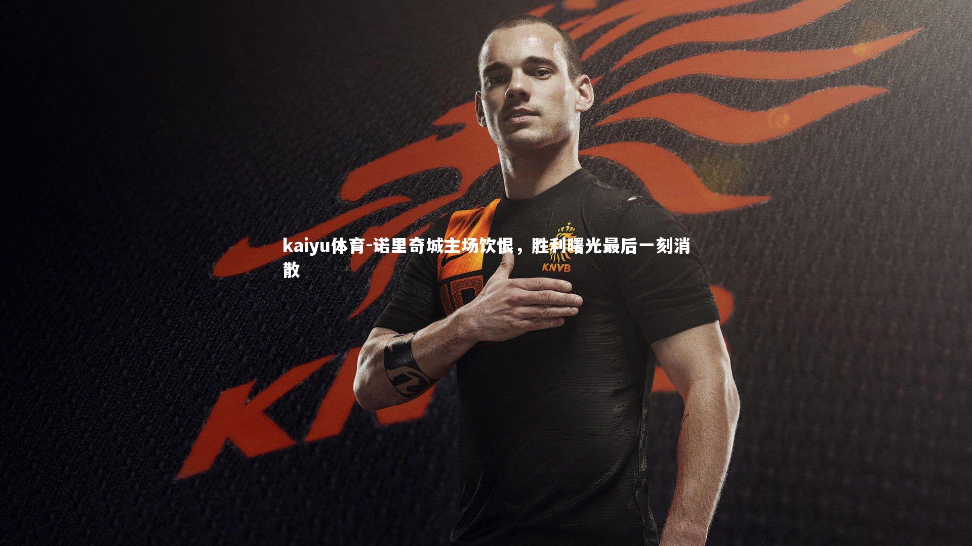 诺里奇城主场饮恨，胜利曙光最后一刻消散